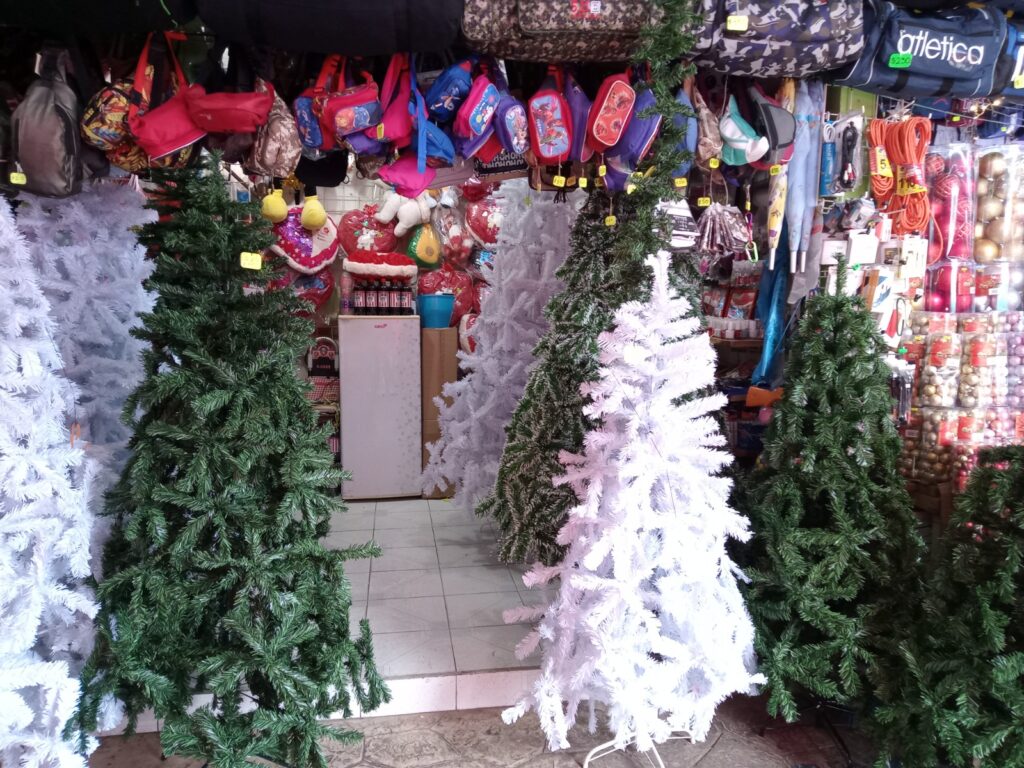 Se siente el ambiente navideño en Ciudad del Carmen