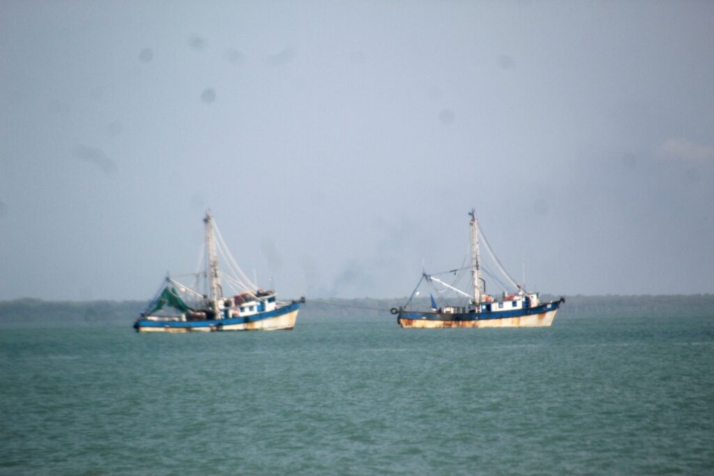 Desciende producción camaronera en comparación de hace 10 años