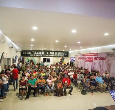 Los partidos políticos desaíran a Pueblos Originarios