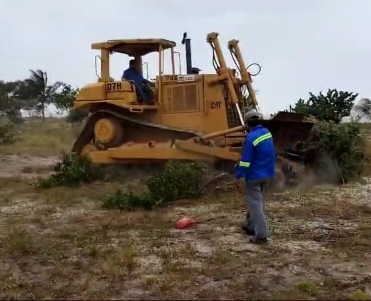Grupo Rubio causa daño irreversible al medio ambiente