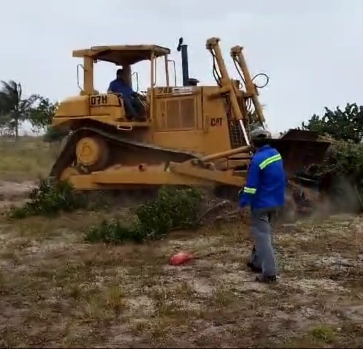 Grupo Rubio causa daño irreversible al medio ambiente