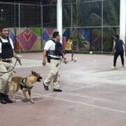No se ha descuidado la seguridad en la Isla del Carmen