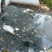 Contaminación acaba con los arroyos