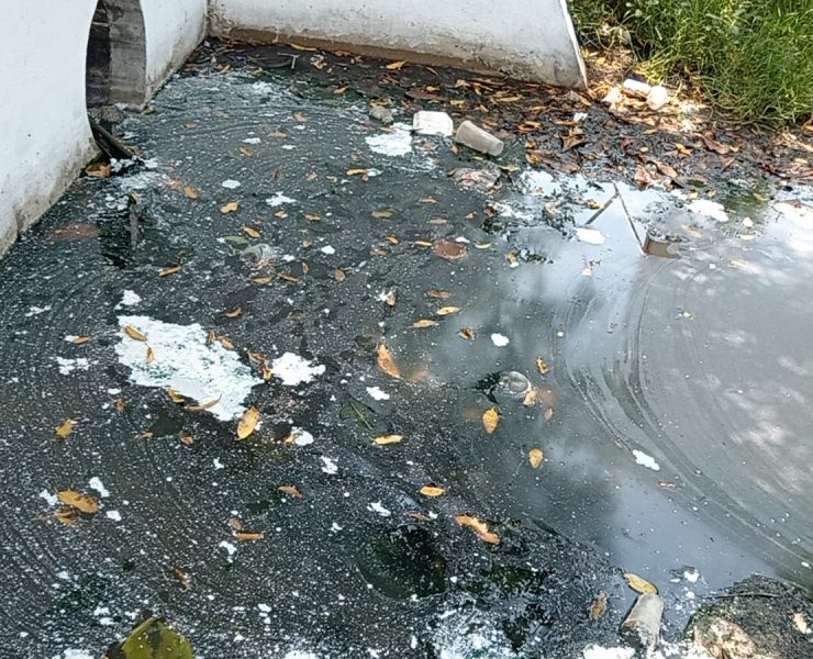 Contaminación acaba con los arroyos