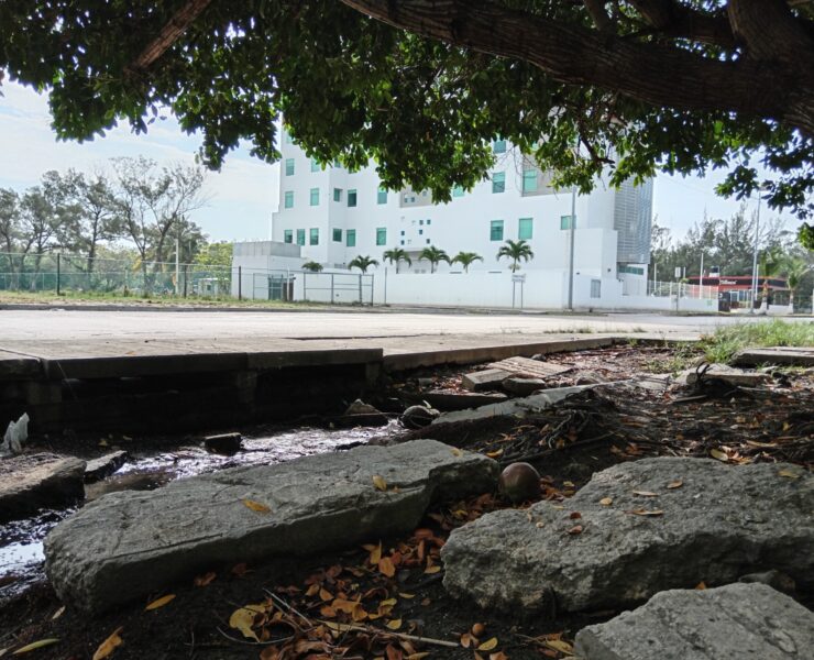 La Venta Inn presunta descarga aguas jabonosas en el arroyo