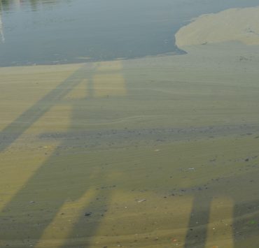Centro de Proceso de Gas Atasta contamina los cuerpos de agua