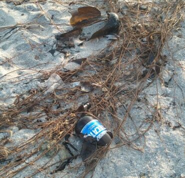 Gente inconsciente deja basura en las playas