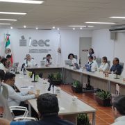 INE e IEEC deben tomar en cuenta los antecedentes de los candidatos