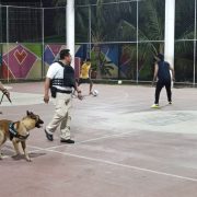 Saldo blanco en la primera semana de vacaciones