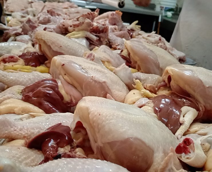 En riesgo la salud de personas que compran pollos al comercio ambulante