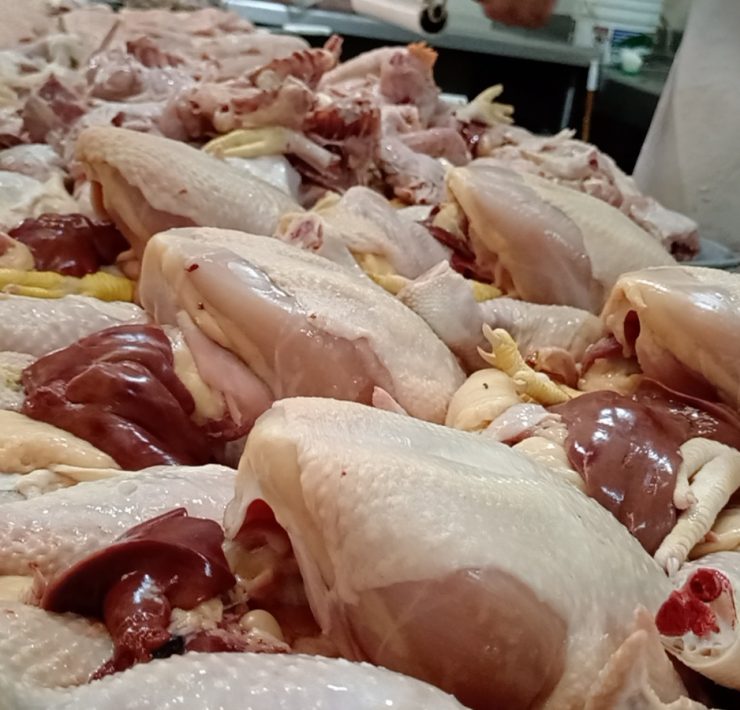 En riesgo la salud de personas que compran pollos al comercio ambulante