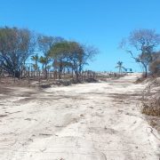 Duele ver lo que le pasa a la madre tierra