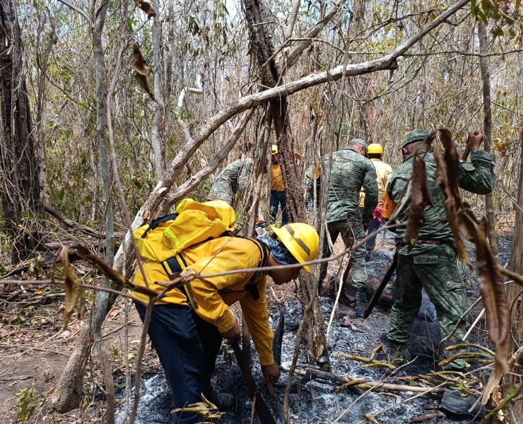 Campeche tiene un registro