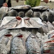 Temporada difícil para el sector ribereño