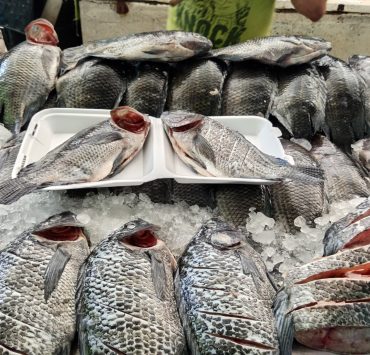 Temporada difícil para el sector ribereño