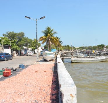 Puente de Puntilla a Manigua obra prioritaria