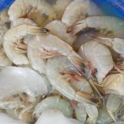 Pescadores libres depredan camarón en la Laguna de Términos