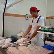 Comerciantes de pollos cifran expectativas para el 10 de mayo
