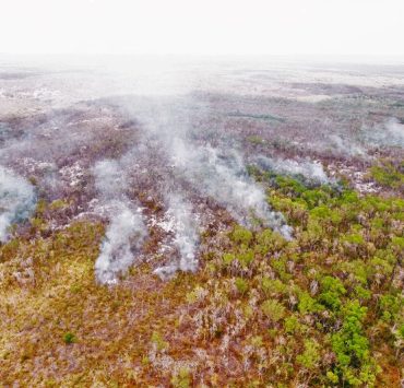 Más de 22 mil puntos