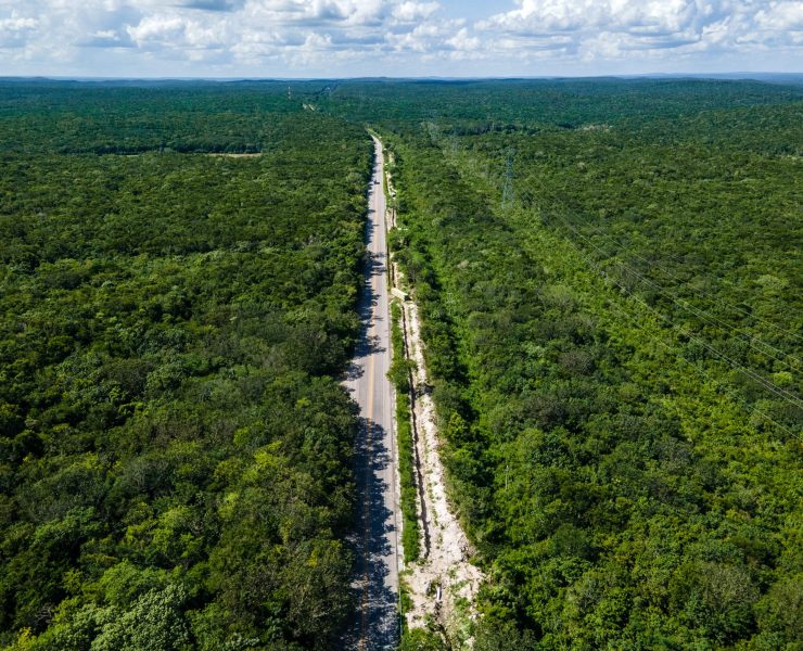 ¿Agua para Calakmul?