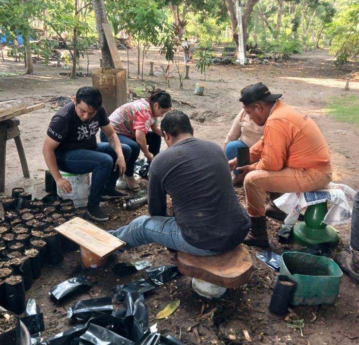 Grupo ambientalista busca germinar 10 mil plantas de árboles