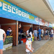 No repunta la venta en el mercado del Chechén