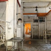 Modernizarán rastro municipal de Ciudad del Carmen