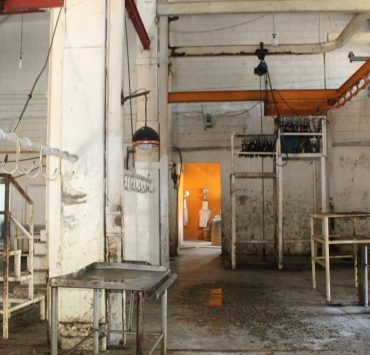 Modernizarán rastro municipal de Ciudad del Carmen