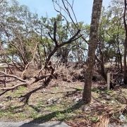 Municipio de Carmen condenado a un desequilibrio ecológico