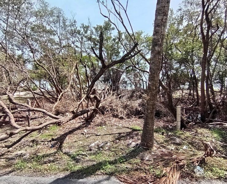 Municipio de Carmen condenado a un desequilibrio ecológico