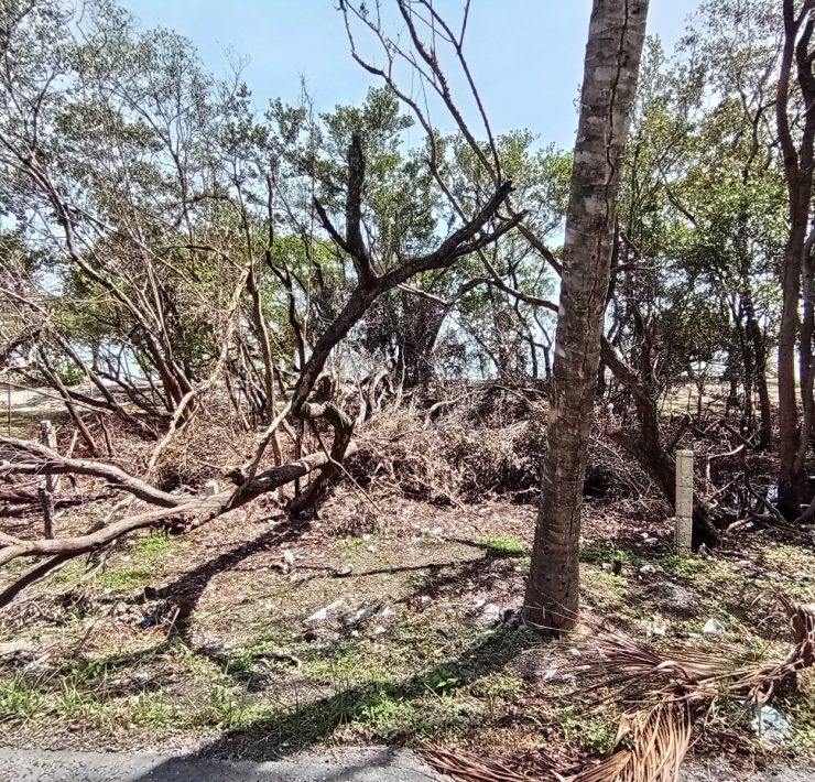 Municipio de Carmen condenado a un desequilibrio ecológico