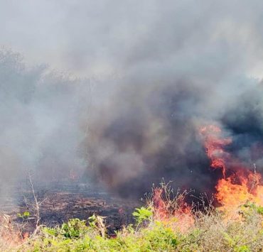 Quemas fuera de control han afectado 7 hectáreas forestales