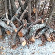 Devastan mangles en Punta Zacatal