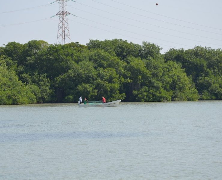 Se ha descuidado al medio ambiente