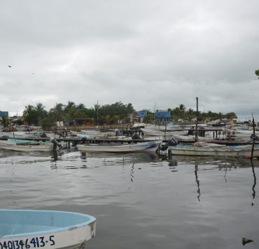 Sector pesquero deja de generar hasta 3 mdp diarios con el mal tiempo