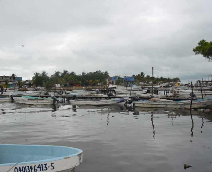 Sector pesquero deja de generar hasta 3 mdp diarios con el mal tiempo