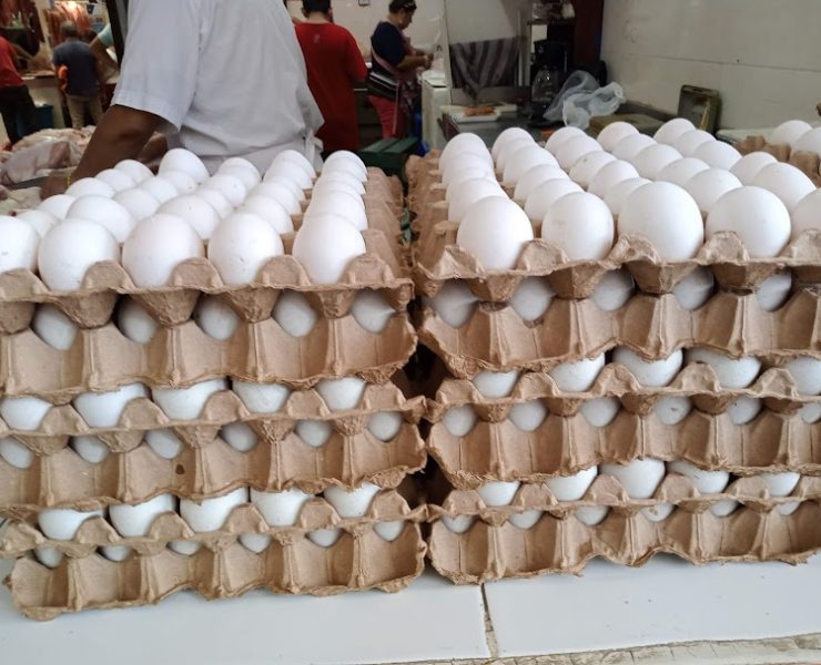 Profeco debe regular el precio del huevo
