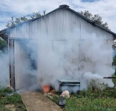 Piden fumigación en Atasta por plaga de mosquitos