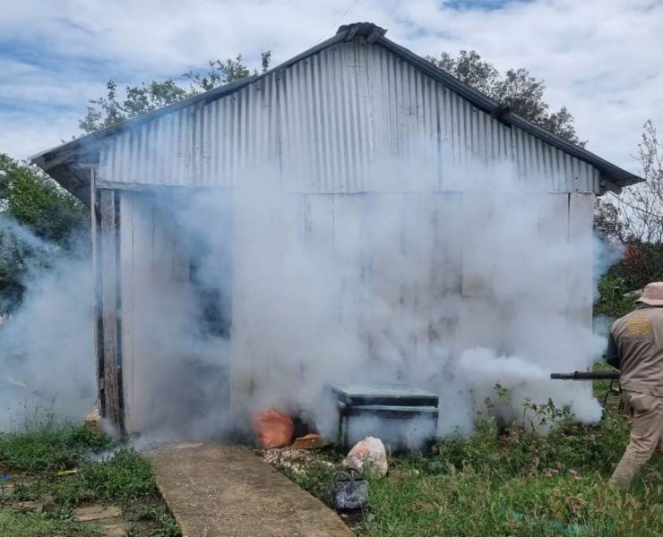 Piden fumigación en Atasta por plaga de mosquitos