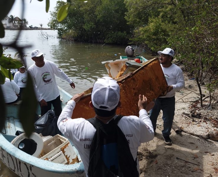 MAAS irá contra empresas de transporte de basura y aguas residuales