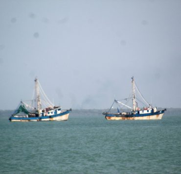 El 6 de septiembre zarparán los barcos camaroneros a Tamaulipas