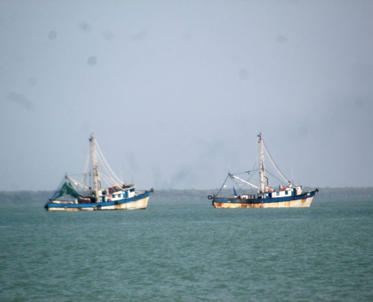 El 6 de septiembre zarparán los barcos camaroneros a Tamaulipas
