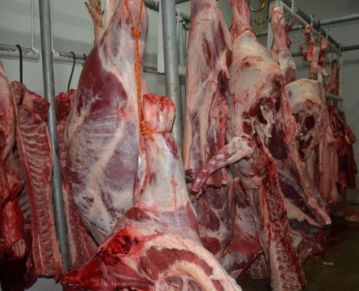 Truenan dos cuartos fríos del mercado AFA