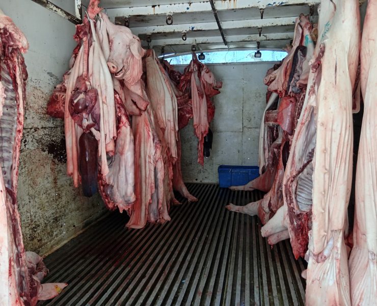 Carniceros han perdido una tonelada de carne