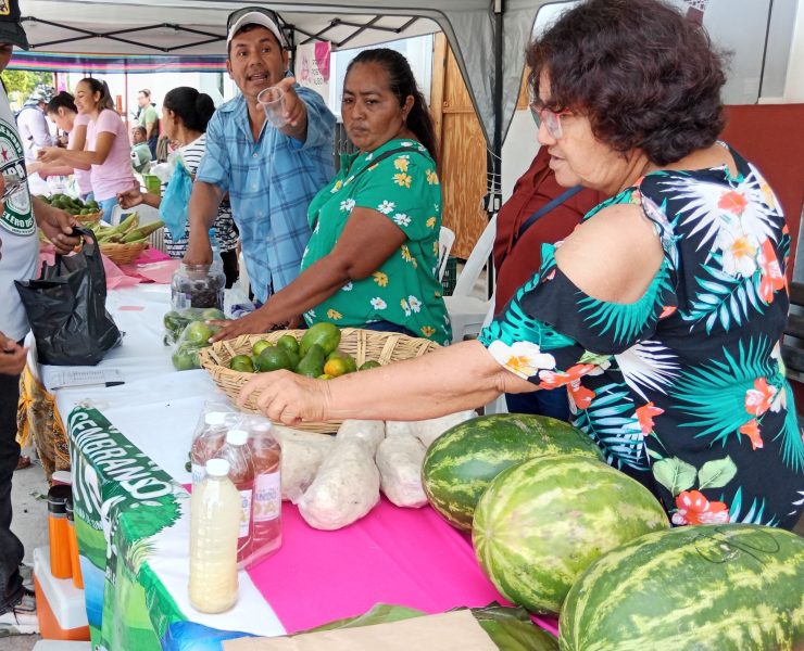 Comuna carmelita respalda a productores del campo
