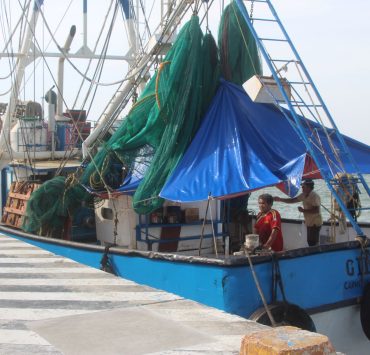 A primera hora de mañana se levanta la veda del Camarón en Tamaulipas