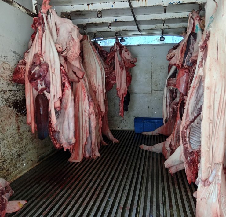 Cuarto frío del mercado se reparó con recursos de los carniceros