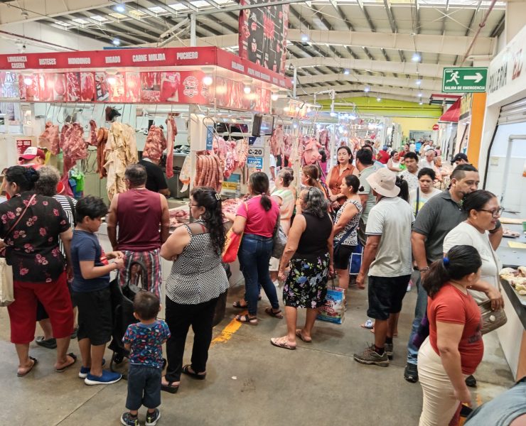 Programas sociales de AMLO reactivaron la economía