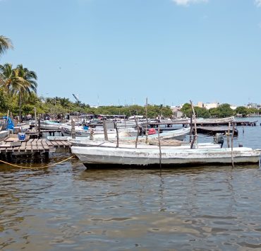 Desacuerdo por el cambio de proveedor de motores fuera de borda