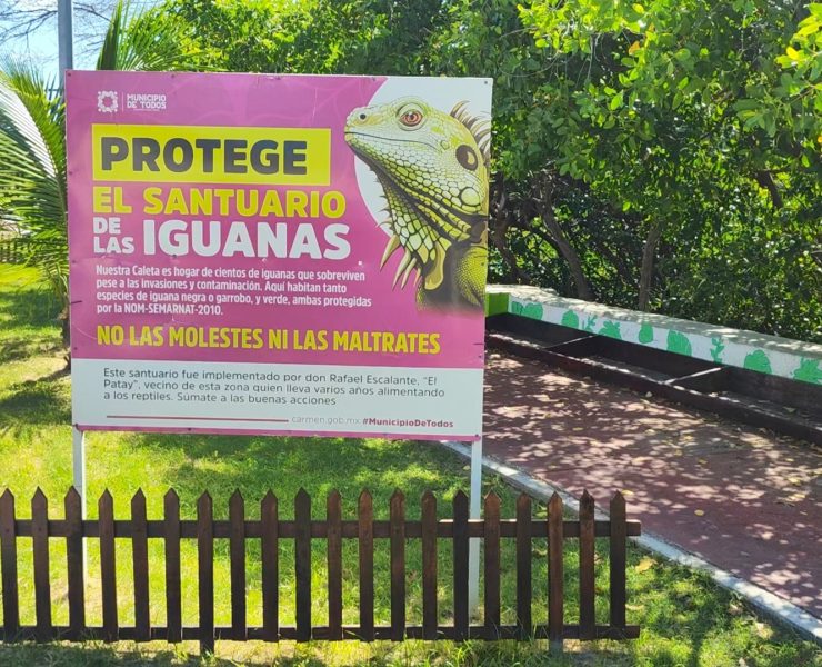 Mejoran espacio en Santuario de Iguanas